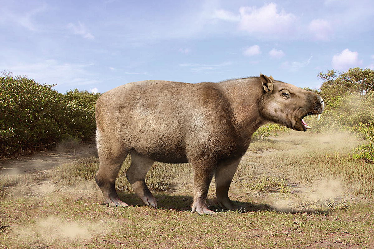 Loài chuột khổng lồ nặng 1 tấn, dài 3 mét, to ngang con trâu mộng - Ảnh 2