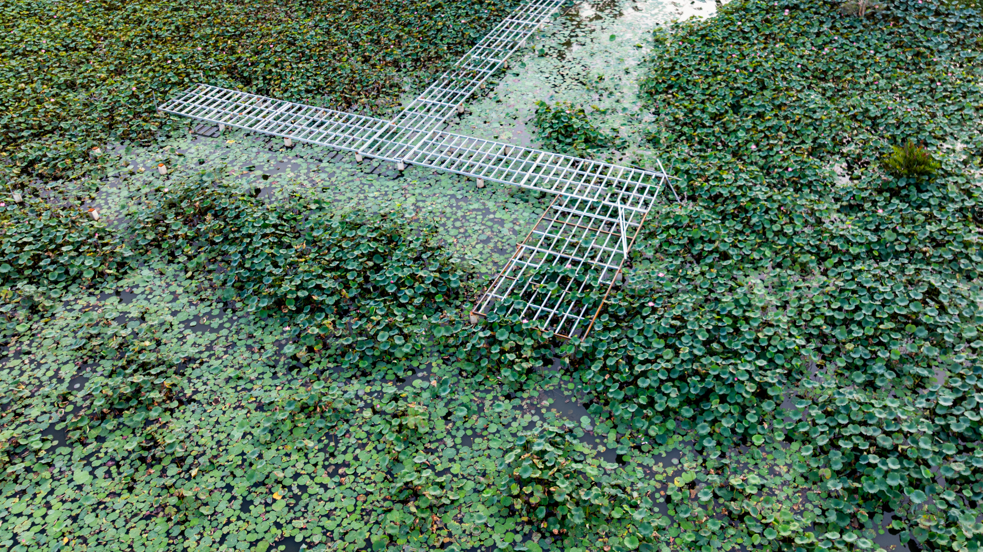 Khu vực sẽ là ga cuối của tuyến đường sắt cao tốc 67 tỷ USD, cách trung tâm TP.HCM chỉ vài km - Ảnh 5