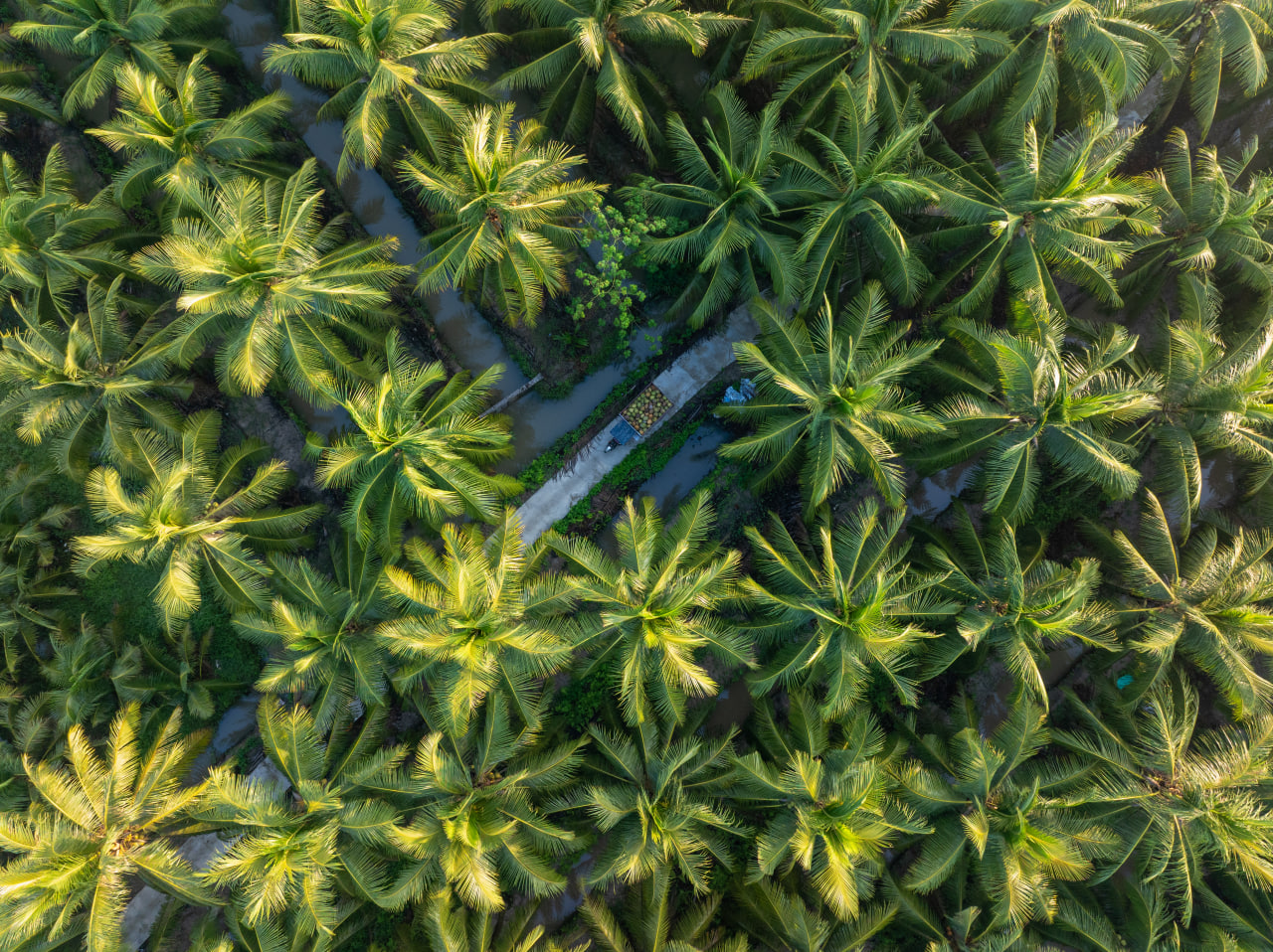 AgriS (SBT) trình làng chiến lược tăng trưởng mới 2025-2030 tại Đại hội đồng Cổ đông - Ảnh 4