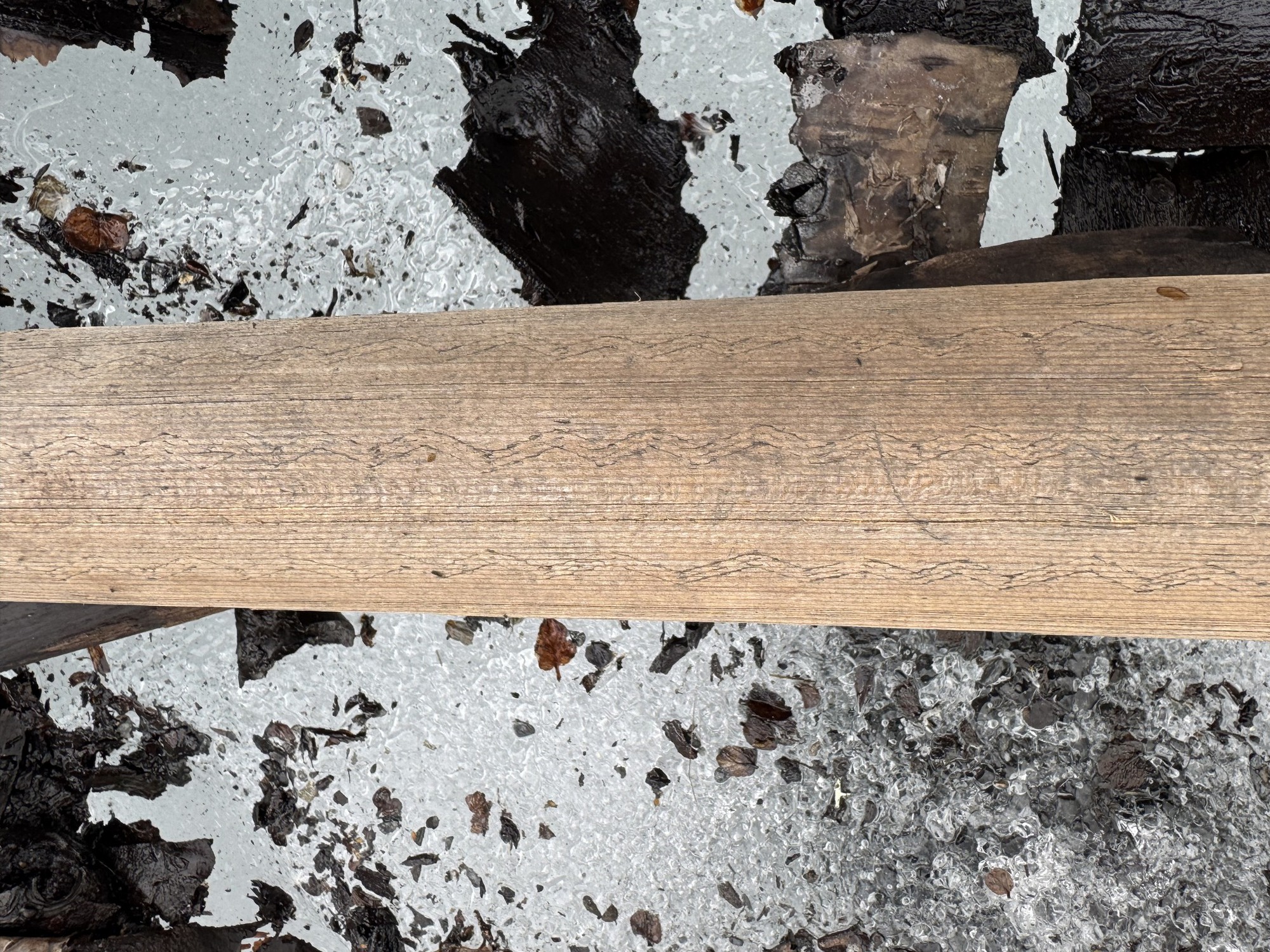 Băng trên đỉnh núi tan chảy, để lộ ra những thứ con người không dám tin vào mắt mình - Ảnh 1