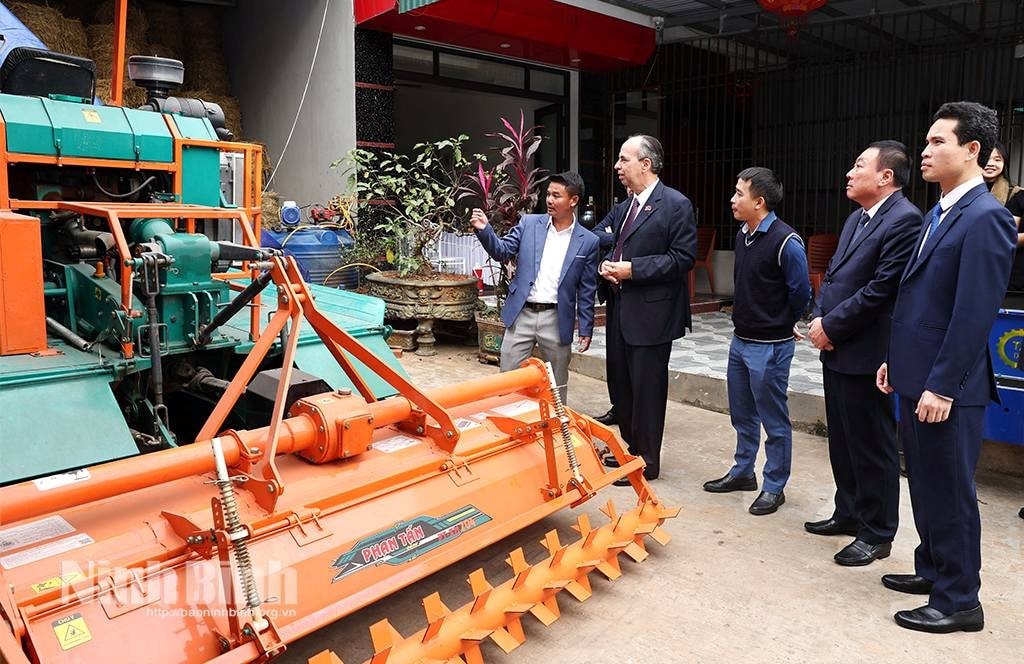 Giống lúa Việt Nam gây sốt, đích thân Đại sứ Cuba tìm đến tận ruộng của nông dân Việt để tìm hiểu - Ảnh 2