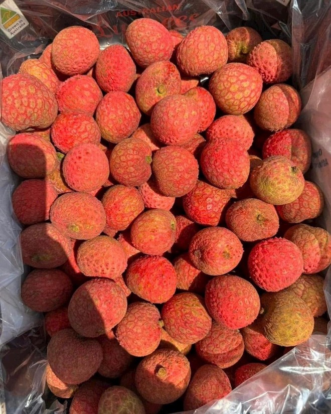 Vải thiều Úc giá gần 5 triệu/thùng 5 kg ở Việt Nam - Ảnh 2