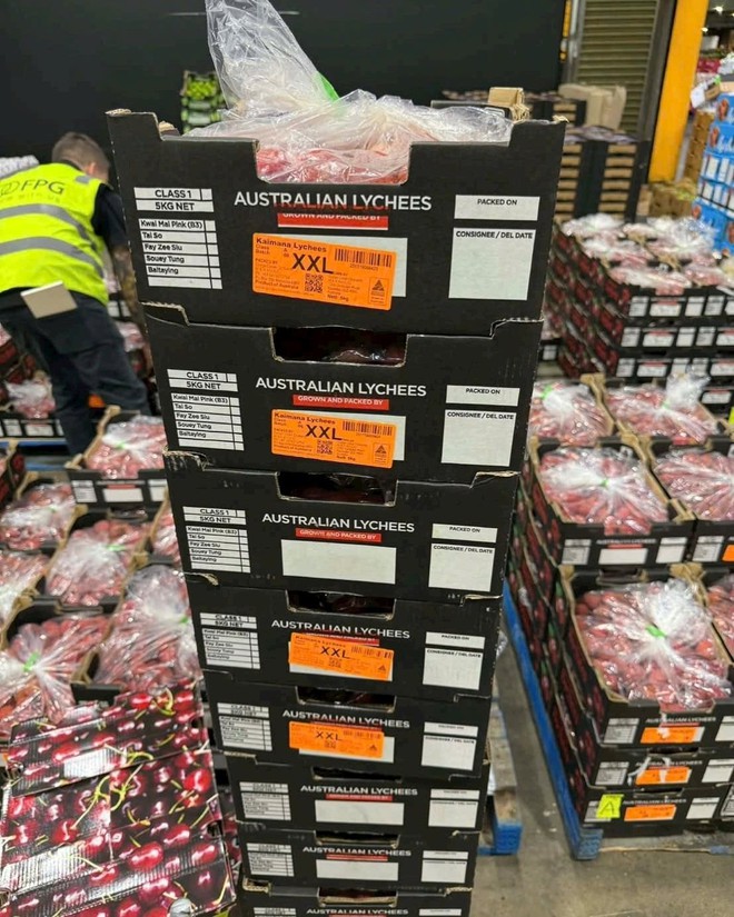 Vải thiều Úc giá gần 5 triệu/thùng 5 kg ở Việt Nam - Ảnh 3