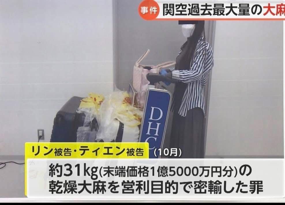 2 cô gái Việt vận chuyển 31kg cần sa khô qua sân bay Nhật, giá trị 25 tỷ đồng: Vụ thu giữ lớn nhất từ trước đến nay - Ảnh 4