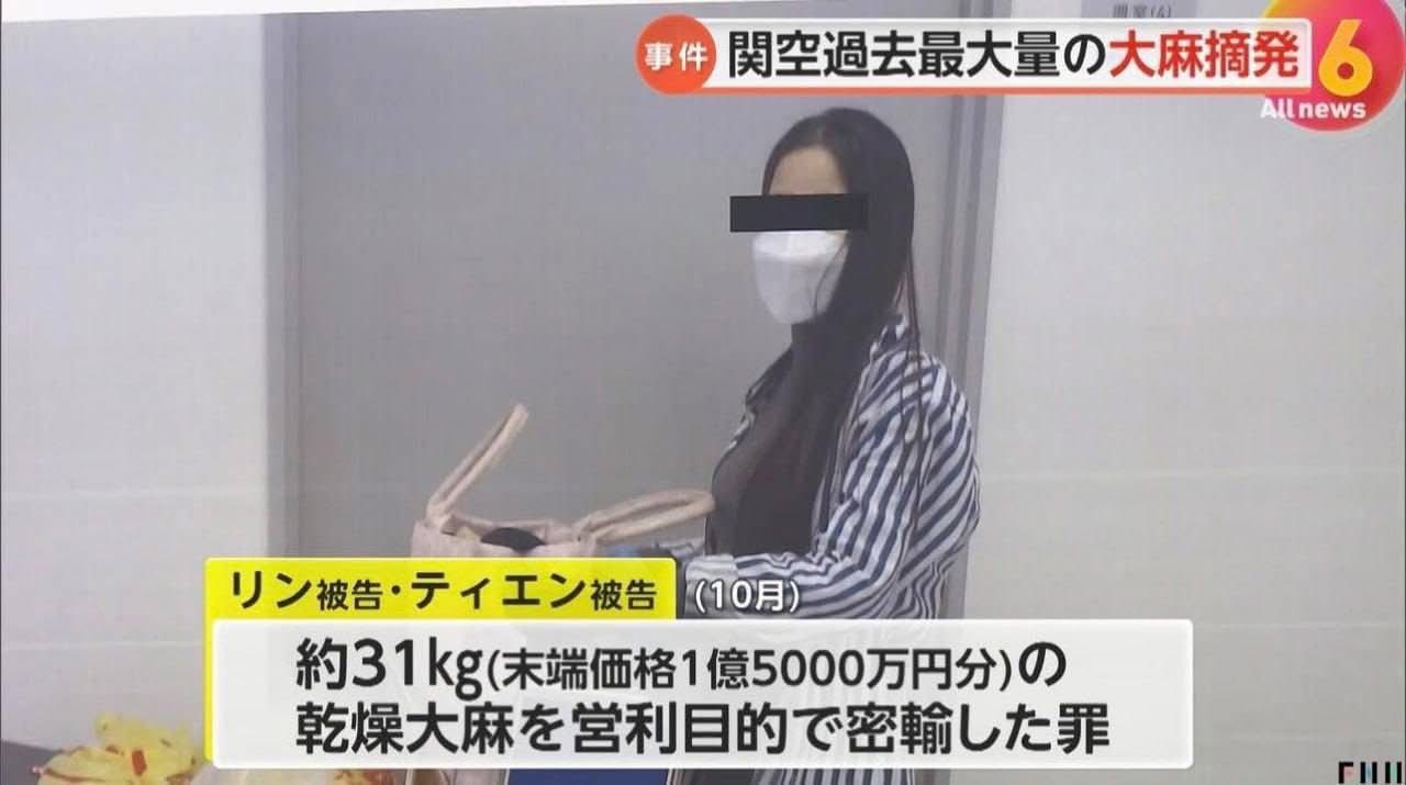 2 cô gái Việt vận chuyển 31kg cần sa khô qua sân bay Nhật, giá trị 25 tỷ đồng: Vụ thu giữ lớn nhất từ trước đến nay - Ảnh 2