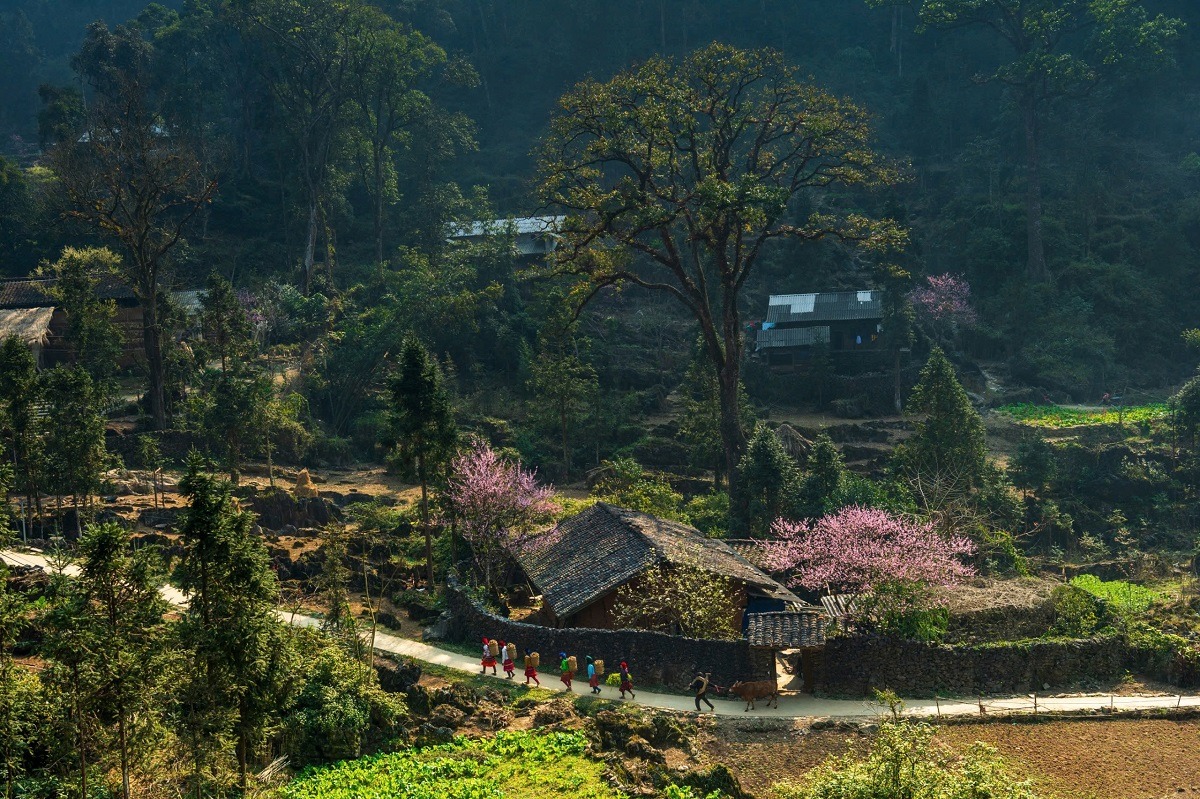 Cảnh báo nóng khi đặt phòng khách sạn dịp Tết - Ảnh 1