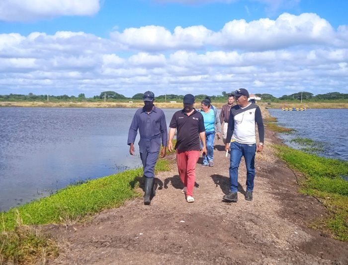 Hơn 120 ngày thử nghiệm, 'sản vật tỷ USD' của Việt Nam gây bất ngờ lớn tại Cuba - Ảnh 1