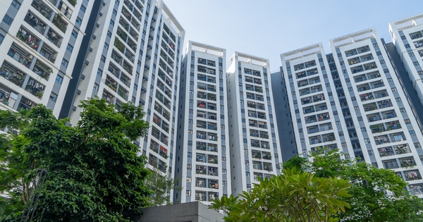 Thay bạn đi xem loạt khu nhà ở xã hội có giá tăng gấp 5 lần, chạm ngưỡng 90 triệu đồng/m2 tại Hà Nội