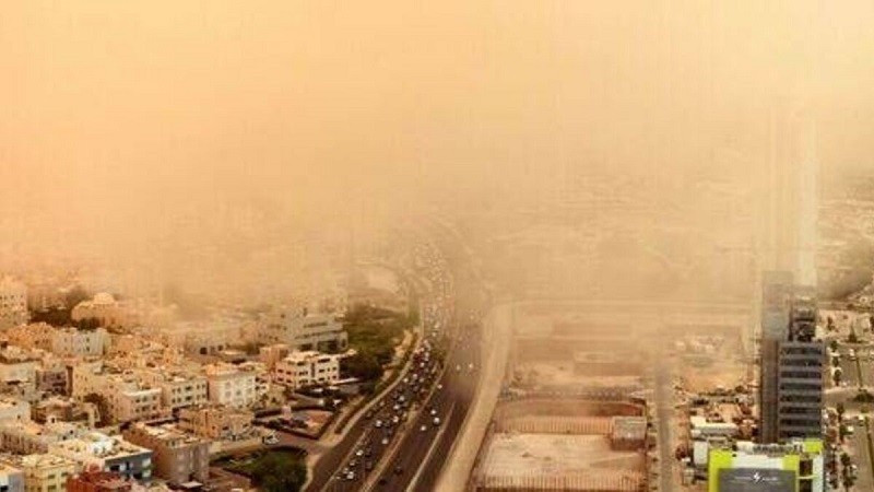 Thành phố nóng nhất thế giới, nơi cá bị luộc chín, chim chết hàng loạt - Ảnh 1