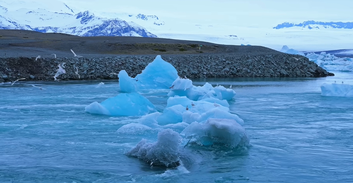 Khoai Lang Thang đã đến mức độ này rồi hả? - Ảnh 2