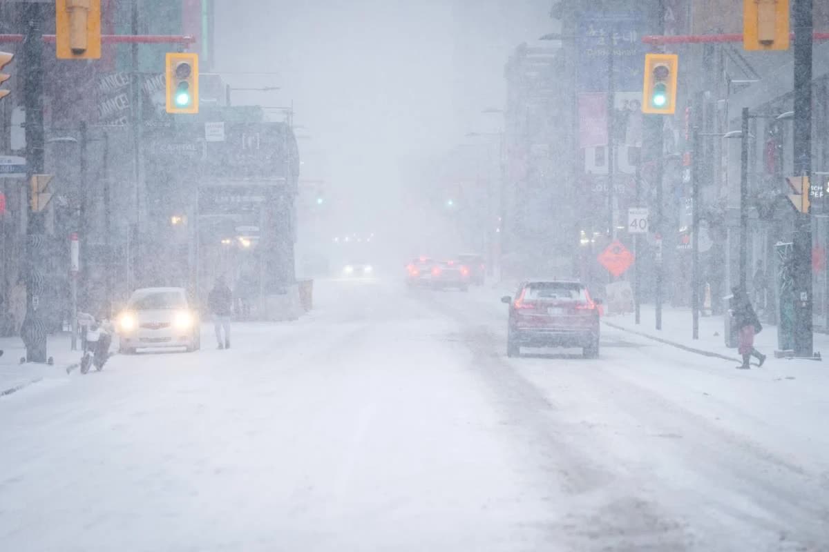 Một quốc gia chứng kiến mùa đông quá lạnh, đạt kỷ lục trong 50 năm - Ảnh 1