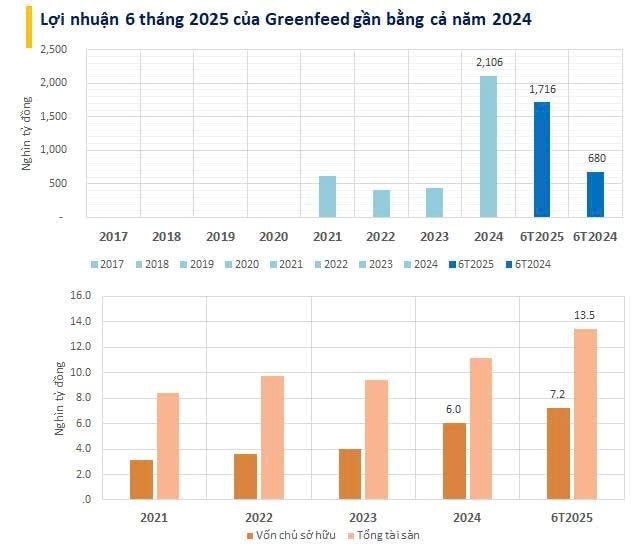 Một đại gia chăn nuôi báo lãi 1.700 tỷ trong 6T2025, gần gấp đôi Nông nghiệp Hòa Phát và Dabaco - Ảnh 1