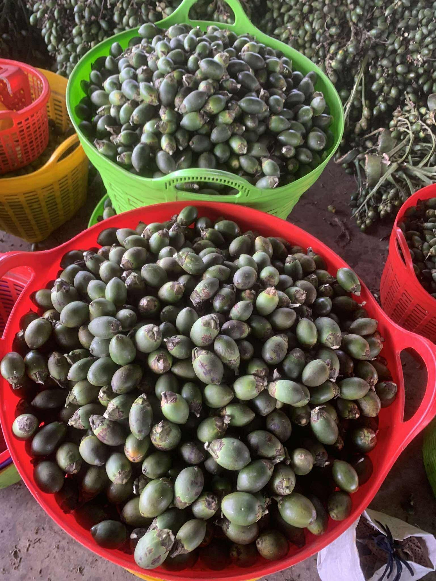 Động thái của thương lái Trung Quốc khiến giá cau tươi lao dốc - Ảnh 3