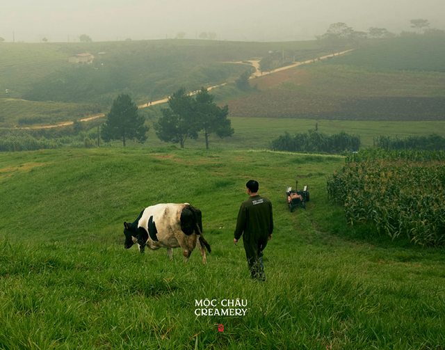 Lễ ra mắt thương hiệu Mộc Châu Creamery - Ảnh 3