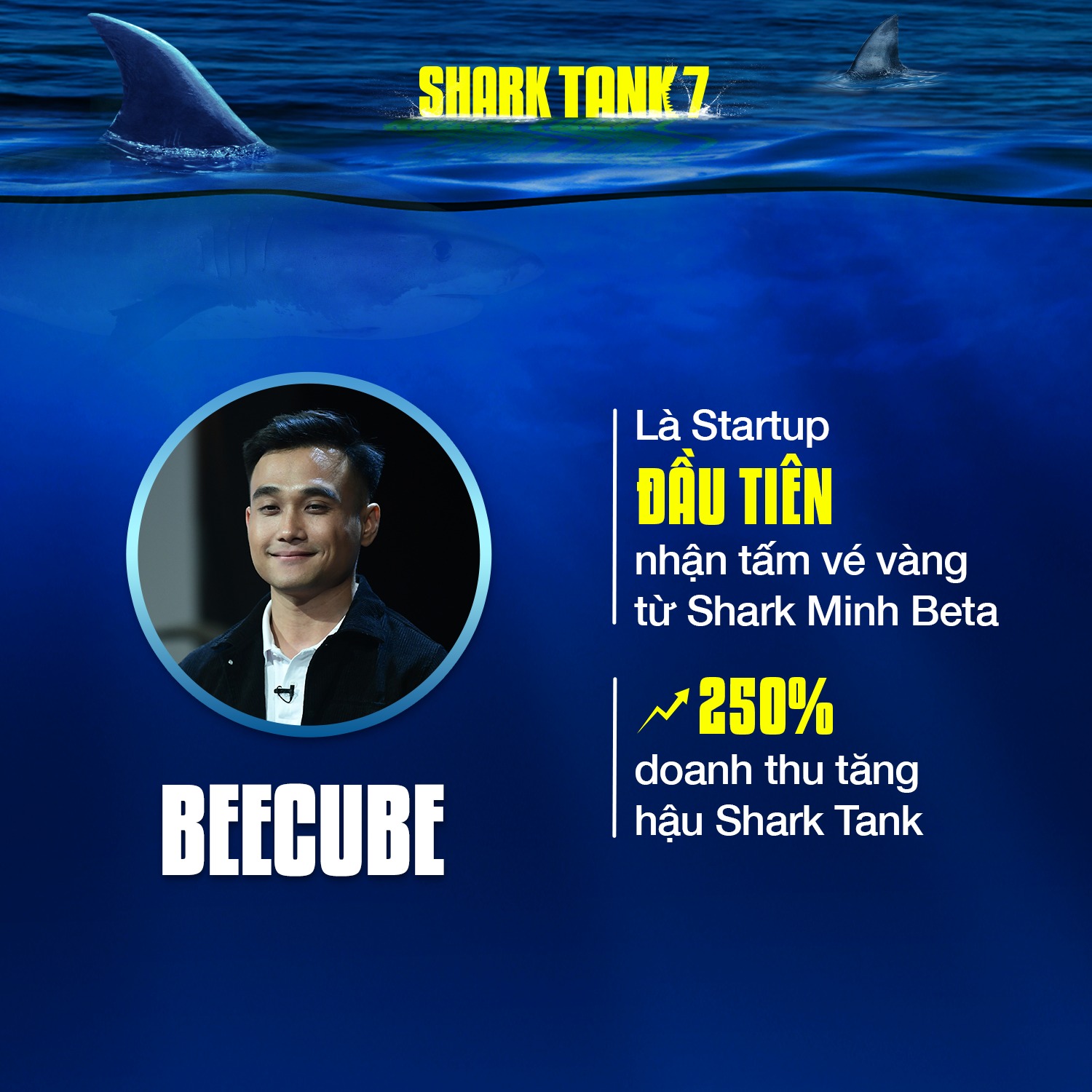 Nhìn lại những con số ấn tượng của Shark Tank Việt Nam sau 7 mùa phát sóng - Ảnh 4