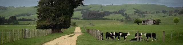 Những câu chuyện khoa học nổi bật nhất năm 2025: Từ tham vọng hồi sinh quái thú đến những "cú quay xe" đầy tranh cãi - Ảnh 2