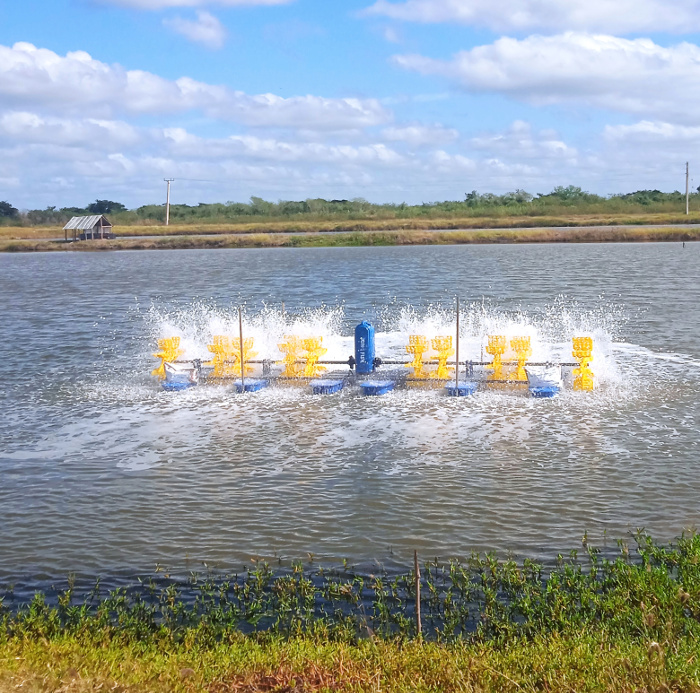 Hơn 120 ngày thử nghiệm, 'sản vật tỷ USD' của Việt Nam gây bất ngờ lớn tại Cuba - Ảnh 2