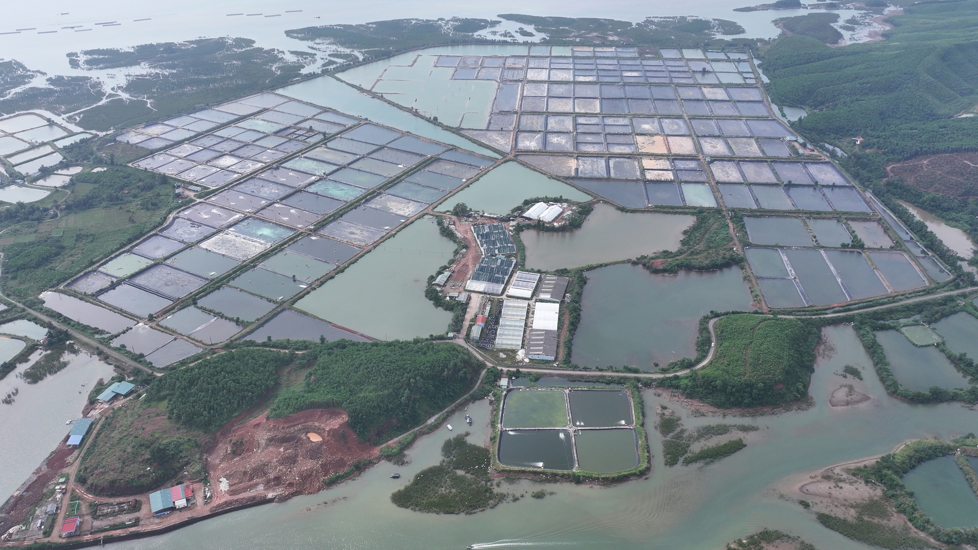 BIM Group triển khai loạt dự án định hình tăng trưởng xanh, bền vững tại Quảng Ninh - Ảnh 1