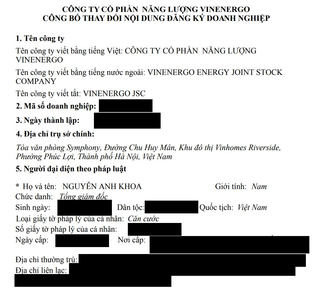 VinEnergo của tỷ phú Phạm Nhật Vượng có "tướng" mới: Là người cũ của VinaCapital - Ảnh 2