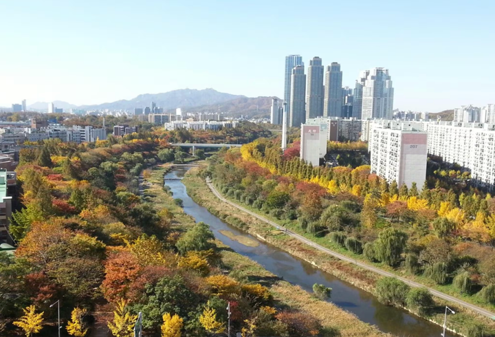 Từ cống rãnh đến dòng chảy xanh: Câu chuyện hồi sinh sông suối ở Hàn Quốc - Ảnh 3