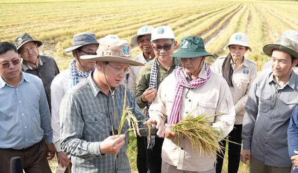 Không phải ST25, một giống lúa nhận danh hiệu ngon nhất thế giới 7 lần liên tiếp, chủ sở hữu là láng giềng của Việt Nam - Ảnh 1