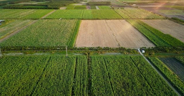 Đại gia Việt thâu tóm công ty từ tay người Pháp, chinh chiến 15 năm biến thành doanh nghiệp tỷ đô từ loài cây "rẻ bèo" của Việt Nam - Ảnh 1