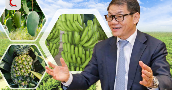 Tỷ phú Trần Bá Dương kể về thương vụ bán chuối trong 10 năm cho "ông trùm" nông nghiệp Fresh Del Monte: Chúng tôi phải cam kết nếu chất lượng dưới 90% chuẩn sẽ bị phạt 1 USD mỗi thùng (13 kg)