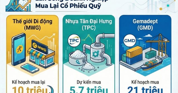 Loạt công ty Thế giới di động, Nhựa Tân Đại Hưng, T-Corp, Gemadept có cùng một hành động