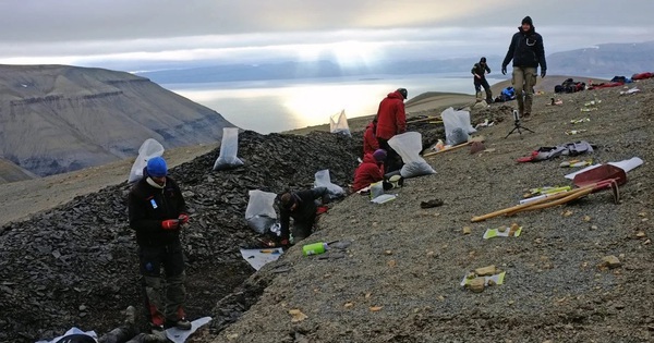 Xuất hiện đàn thủy quái 249 triệu tuổi đảo lộn lịch sử tiến hóa