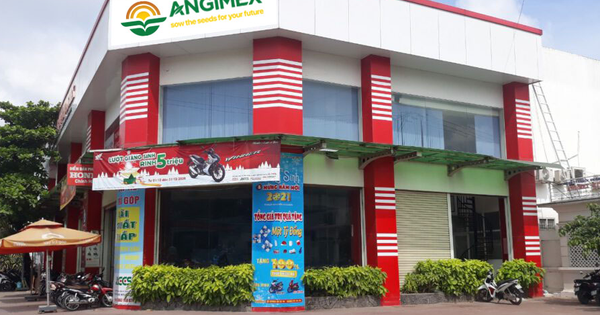 Angimex bị xử phạt do vi phạm công bố thông tin