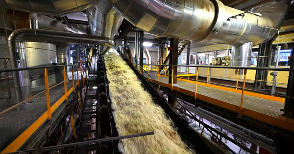 Một ngành ở châu Âu gặp khủng hoảng nghiêm trọng: Càng làm càng lỗ, giá chạm đáy, biên lợi nhuận rơi xuống âm