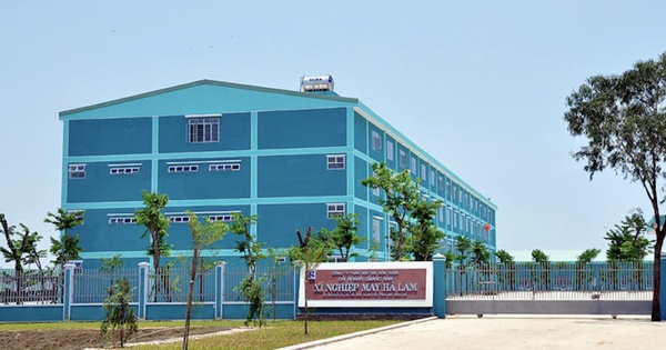 Một ông lớn dệt may bị 'tuýt còi' hồ sơ kiểm toán 2024