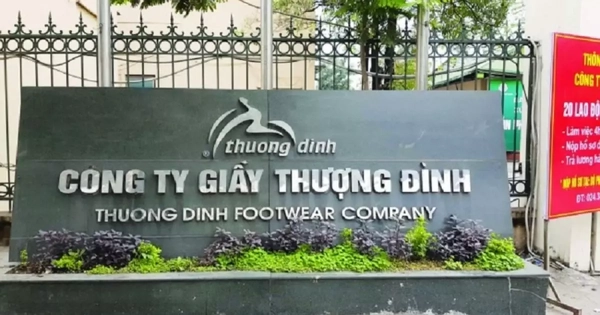 Sức nóng thoái vốn đẩy cổ phiếu tăng liên tiếp