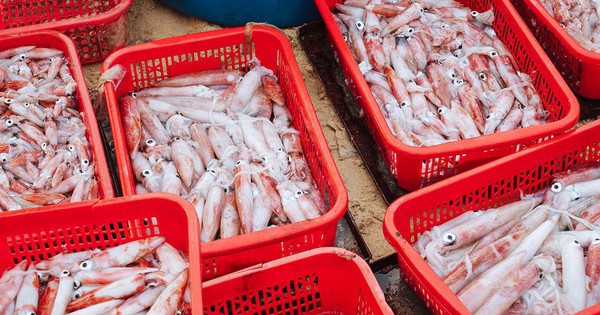 Không phải sầu riêng, một kho báu của Việt Nam được Thái Lan liên tục săn lùng: Xuất khẩu tăng trưởng mạnh, nước ta thu về hàng trăm triệu USD