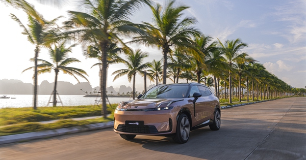 Loạt xe gầm cao mới ra mắt tại Việt Nam: Giá từ 700 triệu, có cả xe hybrid cho người thích xe xanh