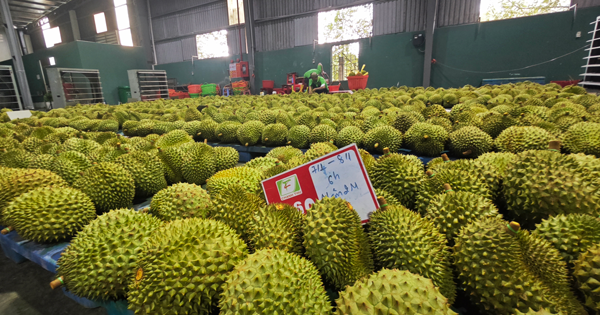 Xuất khẩu nông, lâm, thủy sản sớm về đích