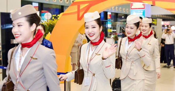 Hãng hàng không mới nhất Việt Nam chính thức được cấp phép khai thác quốc tế, đón nhiều tàu bay "khủng"