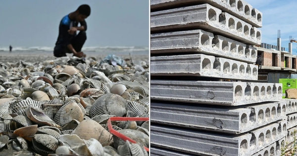 Phát minh có thể làm rung chuyển ngành xây dựng: Dùng thứ bị bỏ đi ở khắp các bờ biển để trộn thêm, giúp bê tông cứng hơn 20%, giảm phát thải CO2 đến 36% - Ảnh 1