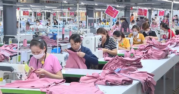 Thương mại Mỹ - Ấn gặp trắc trở, một ngành hàng chủ lực của Việt Nam lại được gọi tên