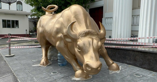 Sở Giao dịch Chứng khoán TPHCM thay biểu tượng "bò tót tấn công" sau 25 năm?