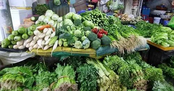 Giá rau xanh hạ nhiệt