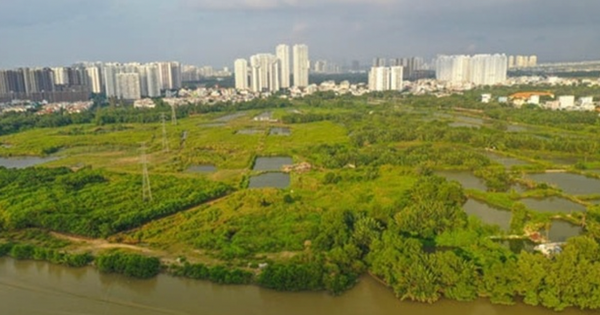 Quốc Cường Gia Lai muốn bán tài sản để trả món nợ liên quan bà Trương Mỹ Lan