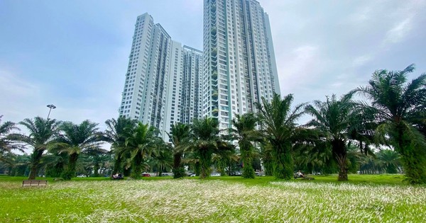 Tại sao phân khúc cao cấp chiếm chủ đạo thị trường bất động sản?