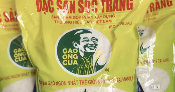 Giống lúa ST25 sản xuất bao nhiêu, bán hết bấy nhiêu