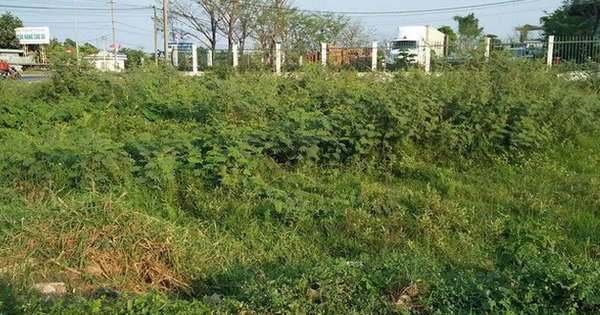 Đề xuất giải quyết tình trạng "người dân phải nộp số tiền lớn khi chuyển đất vườn sang đất ở"