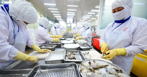 Xuất khẩu thủy sản dự báo cao nhất từ trước đến nay