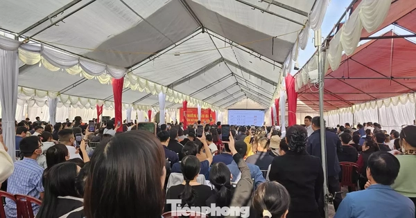 Đấu giá đất vùng quê: Giá 'bị đẩy' lên cao gấp 3 lần giá khởi điểm