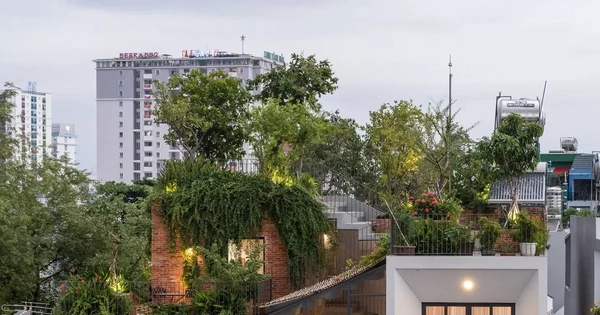 'Biến' sân thượng thành công viên tư gia