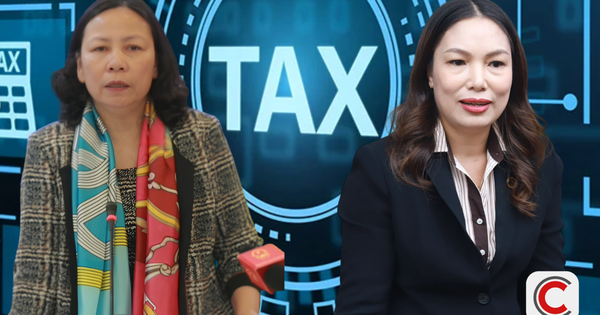 Hộ kinh doanh lo chi phí hóa đơn, phần mềm, kê khai thuế “ăn mòn” lợi nhuận? Chuyên gia Thuế nói thẳng