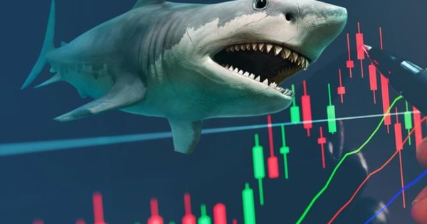 Hai "cá mập" tổng quy mô 24.500 tỷ có thể bán mạnh cổ phiếu của tỷ phú Phạm Nhật Vượng, ngược chiều "gom" mã nhà tỷ phú Trần Đình Long